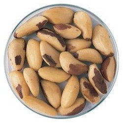 Para ořechy jádra-volně 1kg
